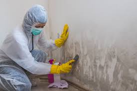 Best Emergency Mold Remediation  in Deenwood, GA